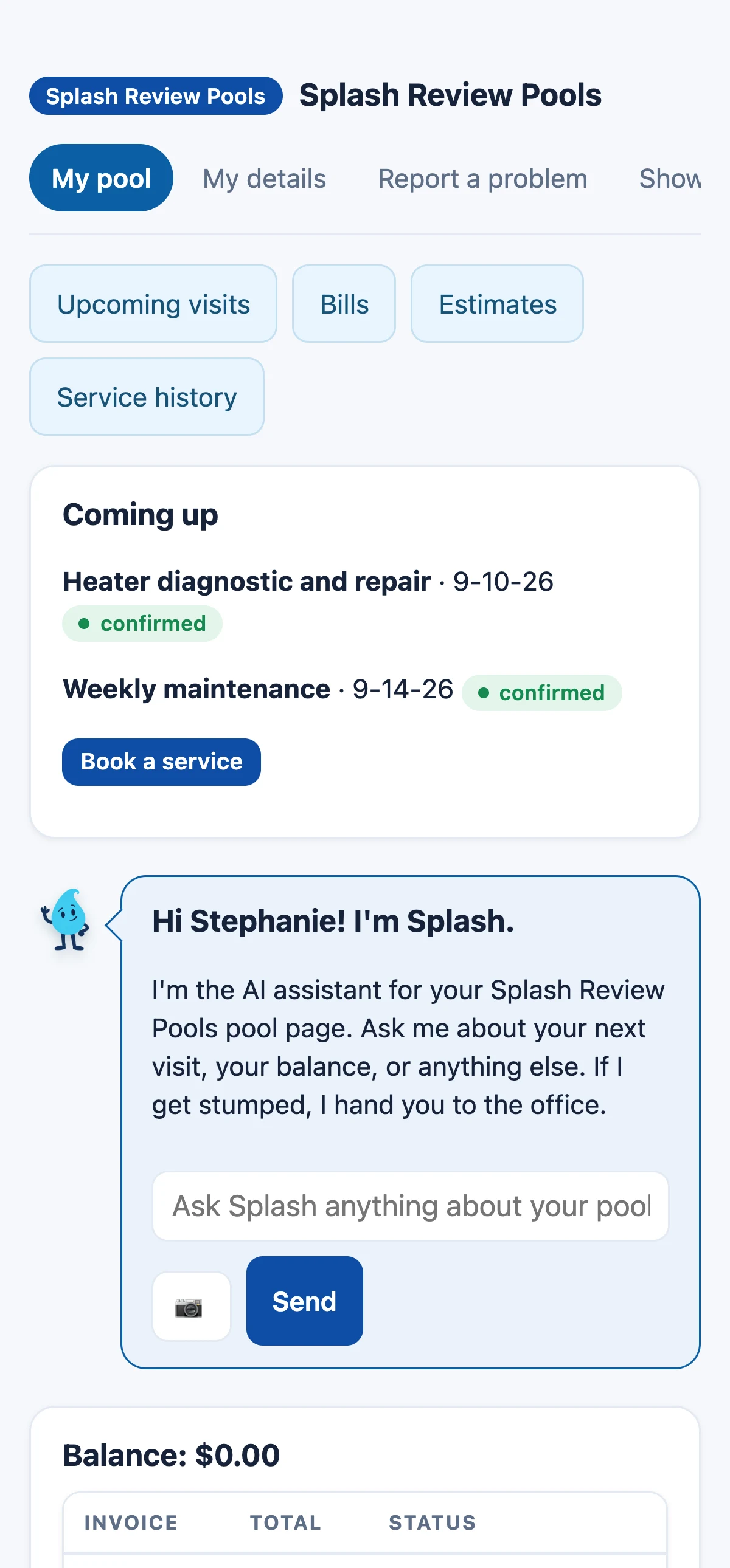 Actual demo customer portal
